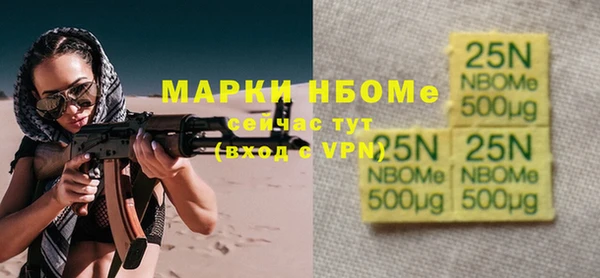 прущие грибы Слюдянка