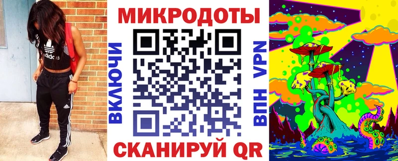Галлюциногенные грибы MAGIC MUSHROOMS  MEGA ссылка  Андреаполь  купить закладку 